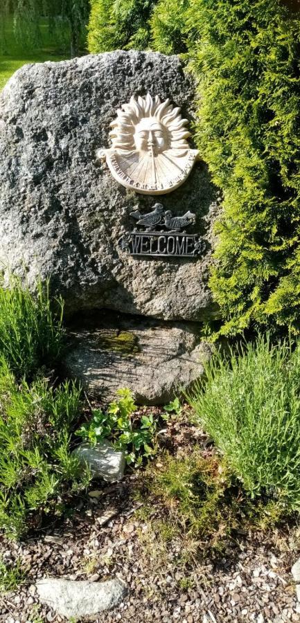 Apartman Smrcek Nove Mesto pod Smrkem Exterior photo