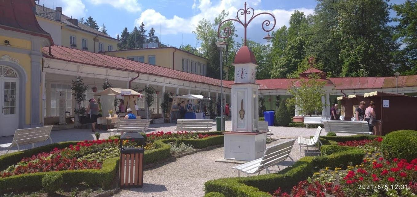 Apartman Smrcek Nove Mesto pod Smrkem Exterior photo